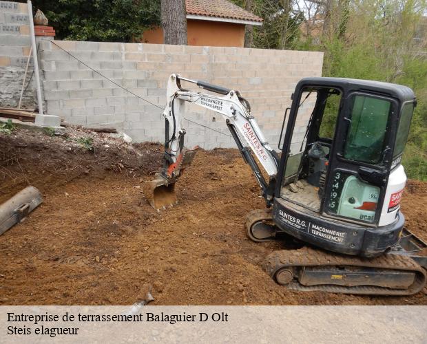 Entreprise de terrassement  balaguier-d-olt-12260 Steis elagueur