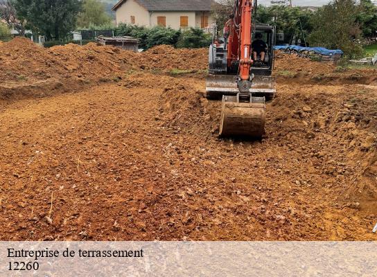 Entreprise de terrassement  balaguier-d-olt-12260 Steis elagueur