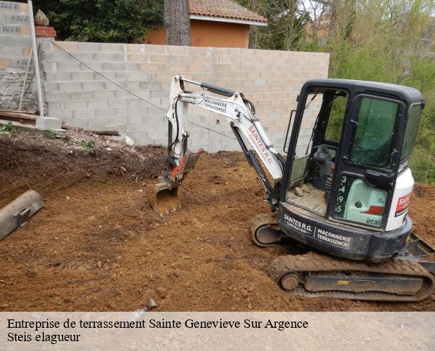 Entreprise de terrassement  sainte-genevieve-sur-argence-12420 Steis elagueur