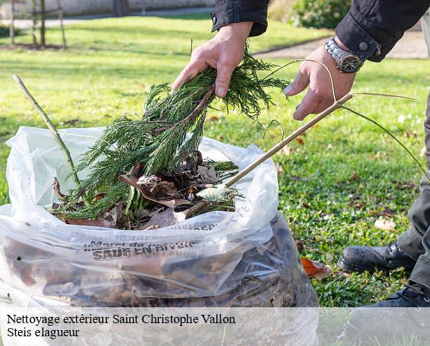 Nettoyage extérieur  saint-christophe-vallon-12330 Steis elagueur