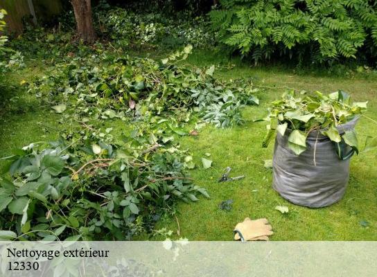 Nettoyage extérieur  saint-christophe-vallon-12330 Steis elagueur