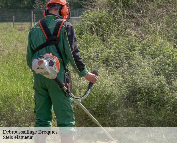Debroussaillage  broquies-12480 Steis elagueur