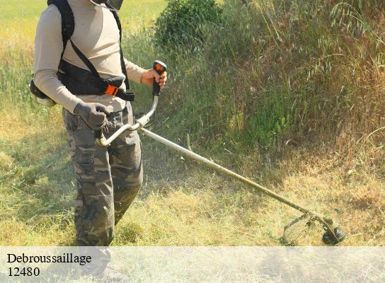 Debroussaillage  broquies-12480 Steis elagueur