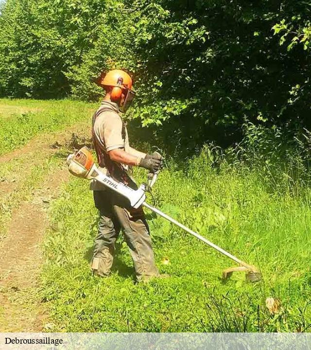 Debroussaillage  saint-affrique-12400 Steis elagueur