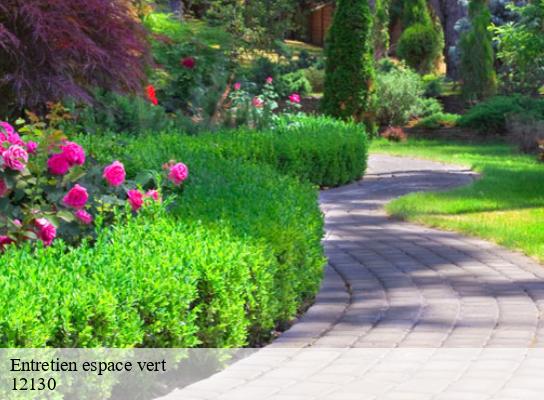 Entretien espace vert  pierrefiche-12130 Steis elagueur