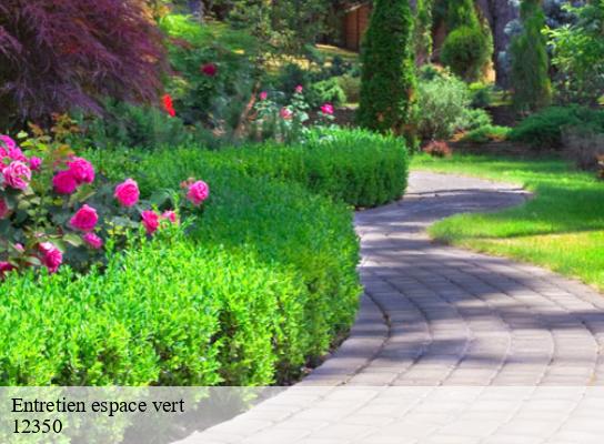 Entretien espace vert  previnquieres-12350 Steis elagueur