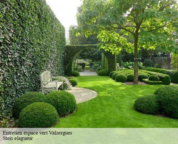 Entretien espace vert  valzergues-12220 Steis elagueur
