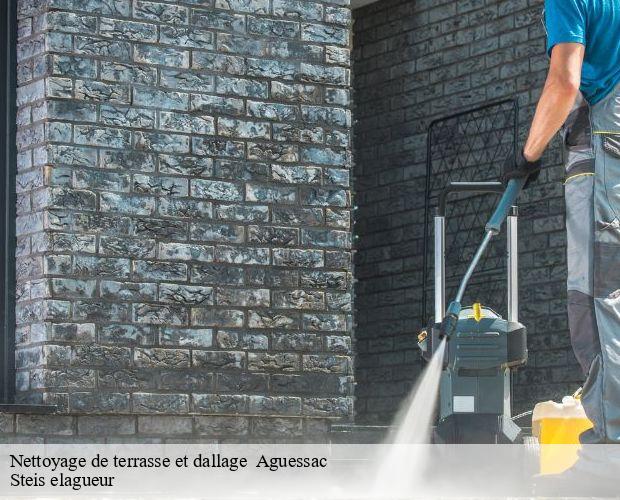 Nettoyage de terrasse et dallage   aguessac-12520 Steis elagueur