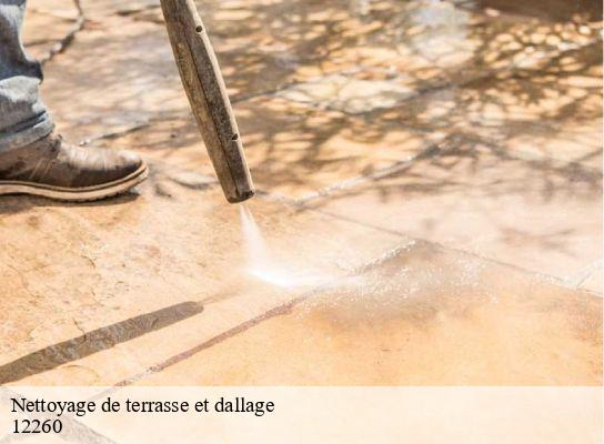 Nettoyage de terrasse et dallage   montsales-12260 Steis elagueur