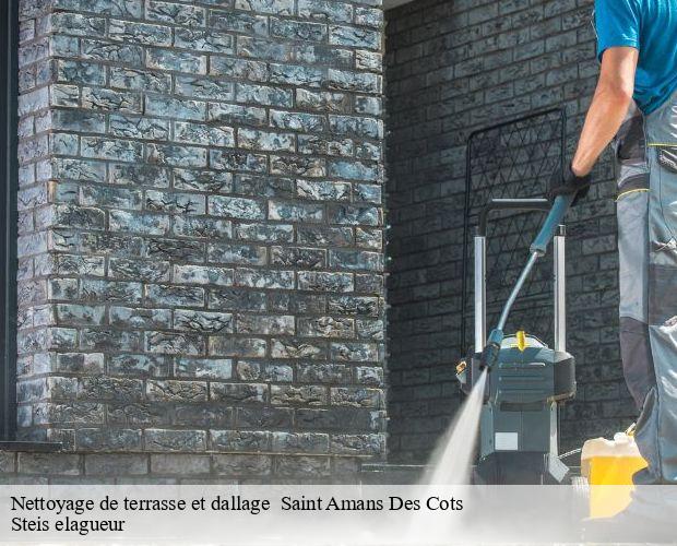 Nettoyage de terrasse et dallage   saint-amans-des-cots-12460 Steis elagueur