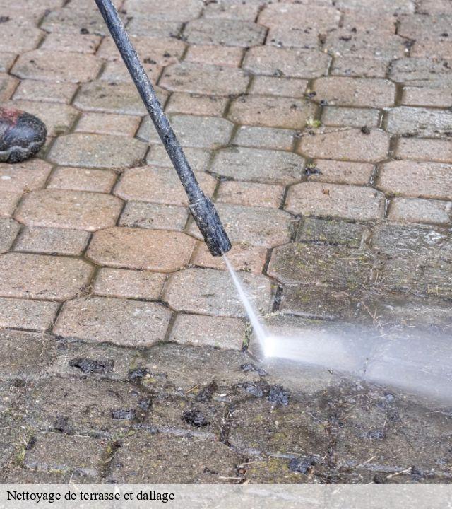 Nettoyage de terrasse et dallage   la-mothe-12800 Steis elagueur