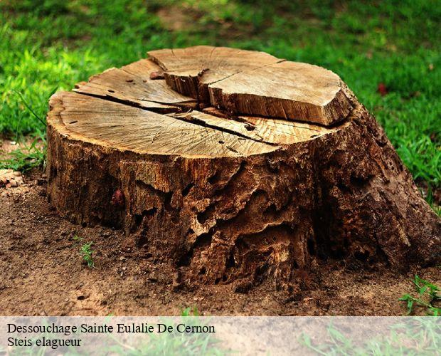 Dessouchage  sainte-eulalie-de-cernon-12230 Steis elagueur