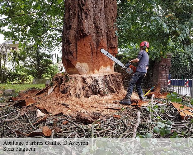 Abattage d'arbres  gaillac-d-aveyron-12310 Steis elagueur