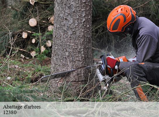 Abattage d'arbres  montfranc-12380 Steis elagueur
