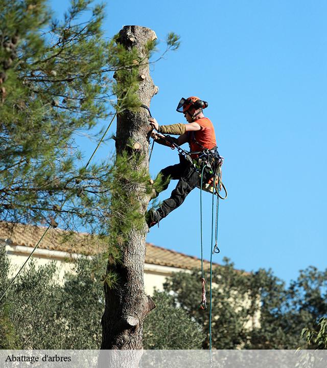 Abattage d'arbres  montfranc-12380 Steis elagueur