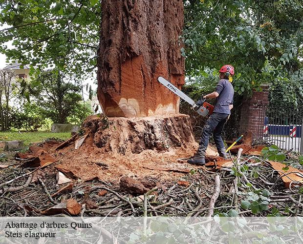 Abattage d'arbres  quins-12800 Steis elagueur