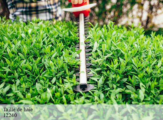 Taille de haie  vabre-tizac-12240 Steis elagueur