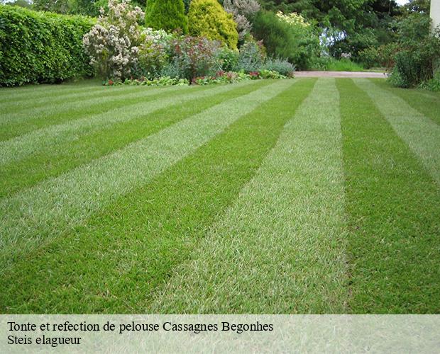 Tonte et refection de pelouse  cassagnes-begonhes-12120 Steis elagueur