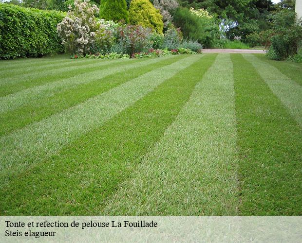 Tonte et refection de pelouse  la-fouillade-12270 Steis elagueur
