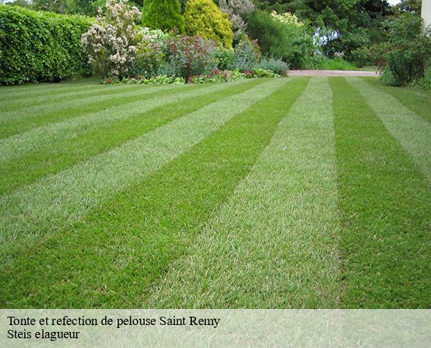 Tonte et refection de pelouse  saint-remy-12200 Steis elagueur