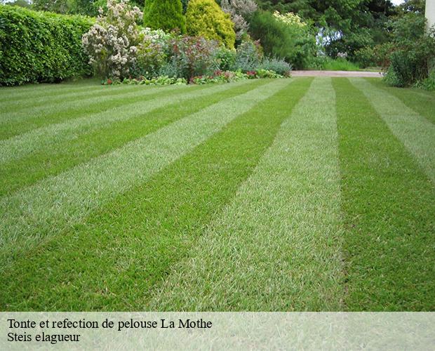 Tonte et refection de pelouse  la-mothe-12800 Steis elagueur