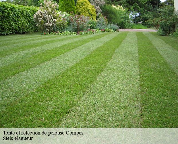 Tonte et refection de pelouse  combes-12110 Steis elagueur
