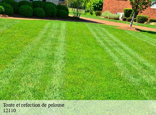 Tonte et refection de pelouse  combes-12110 Steis elagueur