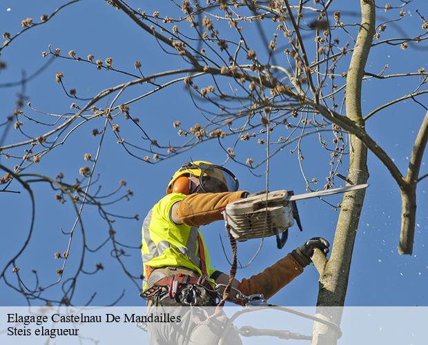 Elagage  castelnau-de-mandailles-12500 Steis elagueur