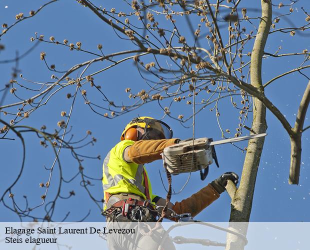 Elagage  saint-laurent-de-levezou-12620 Steis elagueur
