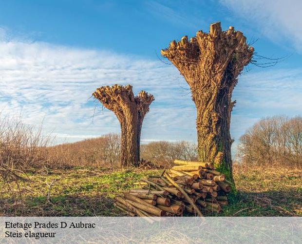 Etetage  prades-d-aubrac-12470 Steis elagueur